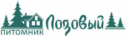 Awesome Logo